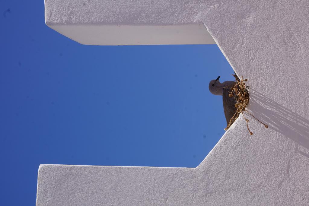 Riad Ksar El Jadida Maroc Bagian luar foto